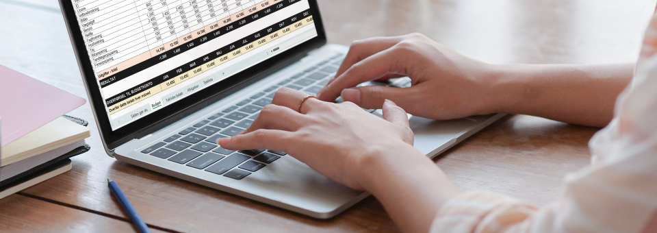 Budgetskema - den fulde udgave fra Kend Dine Penge